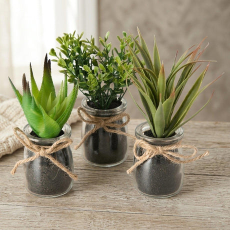Boltze home sukkulente in vaso ã˜10x17cm pianta artificiale in barattolo di vetro