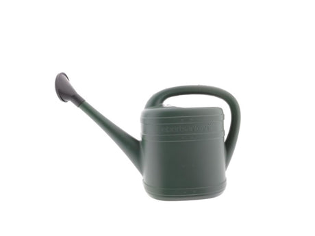 Annaffiatoio Fiskars Ebert da 5,0 litri verde
