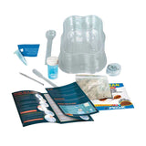 Clementoni Science Growing Triops 7+