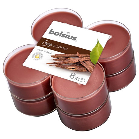 Bolsio | 6 pezzi