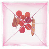 Zanzariera 45 x 45 cm 4 colori assortiti