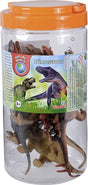 Introduzione a simba 6 animali dinosauri in tonnellate