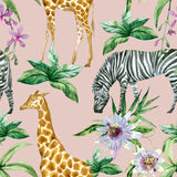 | 12 pezzi