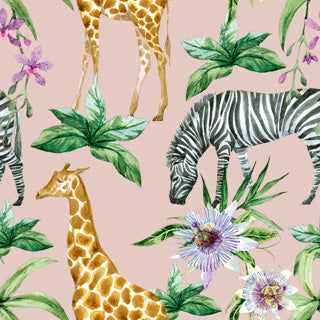 | 12 pezzi