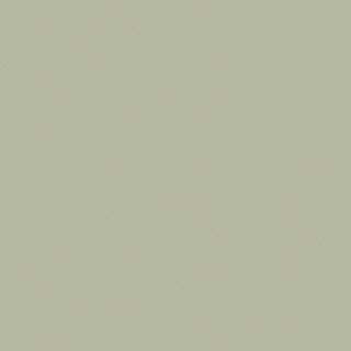 Duni | 12 pezzi