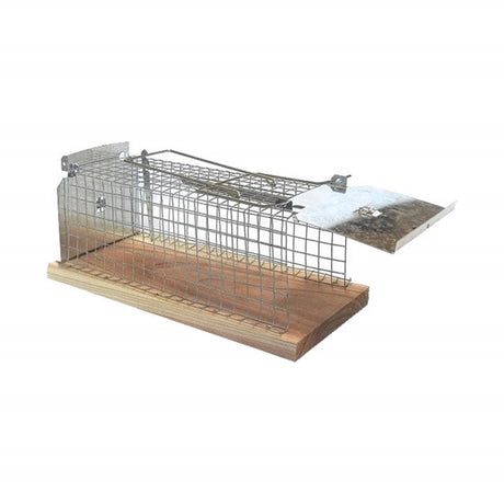 Gabbia trappola per topi Bsi 15x7x6cm