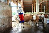 Prodotti happycow spazzola per mucche maxiswing