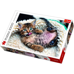 Puzzle 1000 pezzi - gattino felice