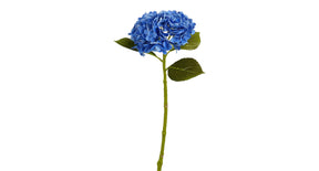 Hortensia blauw real touch - l49cm