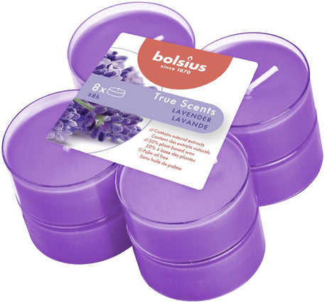 Bolsio | 6 pezzi
