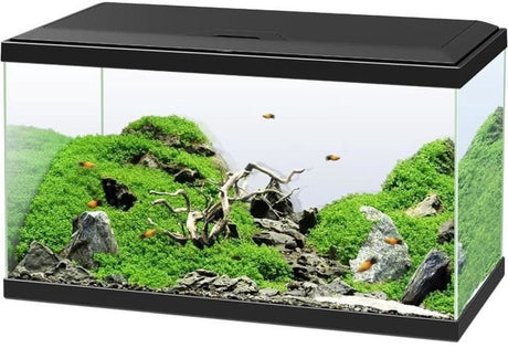Ciano – emotion pro 60 l – set acquario – filtro cf80 – led 50w