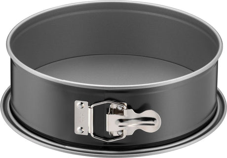 Flessibile doccia Hansgrohe isiflex 160 cm cromo