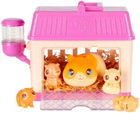 Piccoli animali vivi, mini set da gioco a sorpresa per mamma, criceto
