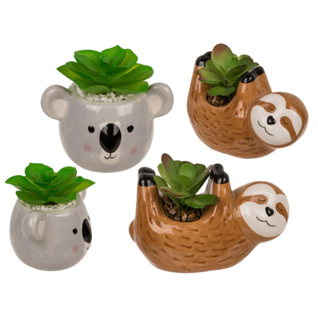 Pianta grassa decorativa Ootb in vaso di ceramica, bradipo o koala 14x7x9cm