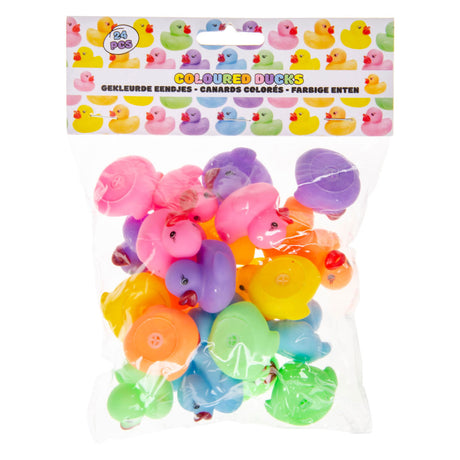 Anatra colorata Duckiez - 24 pezzi