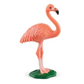 Schleich fenicottero della vita selvaggia 14849