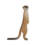 Suricato della fauna selvatica Mojo - 387125