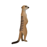 Suricato della fauna selvatica Mojo - 387125