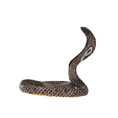 Cobra reale della fauna selvatica Mojo - 387126