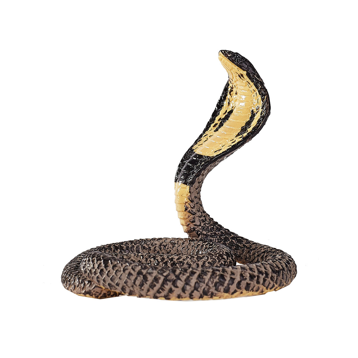 Cobra reale della fauna selvatica Mojo - 387126