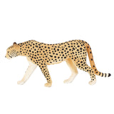 Ghepardo maschio della fauna selvatica Mojo - 387197