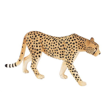 Ghepardo maschio della fauna selvatica Mojo - 387197