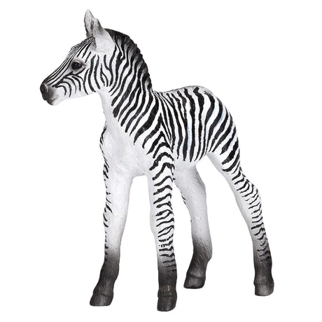 Puledro di zebra della fauna selvatica Mojo - 387394