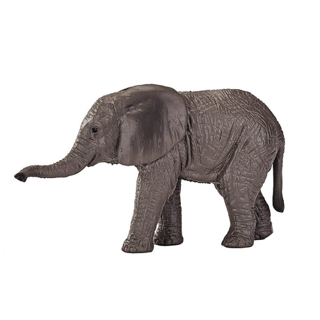 Mojo wildlife vitello di elefante africano - 387190