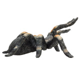Mojo Wildlife tarantola rossa - 387213