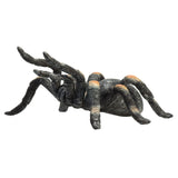 Mojo Wildlife tarantola rossa - 387213