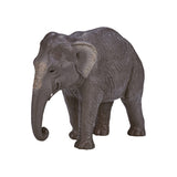 Mojo elefante asiatico della fauna selvatica - 387266