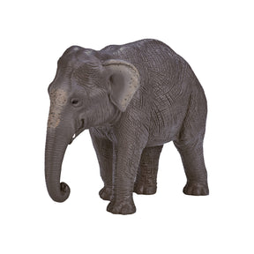 Mojo elefante asiatico della fauna selvatica - 387266