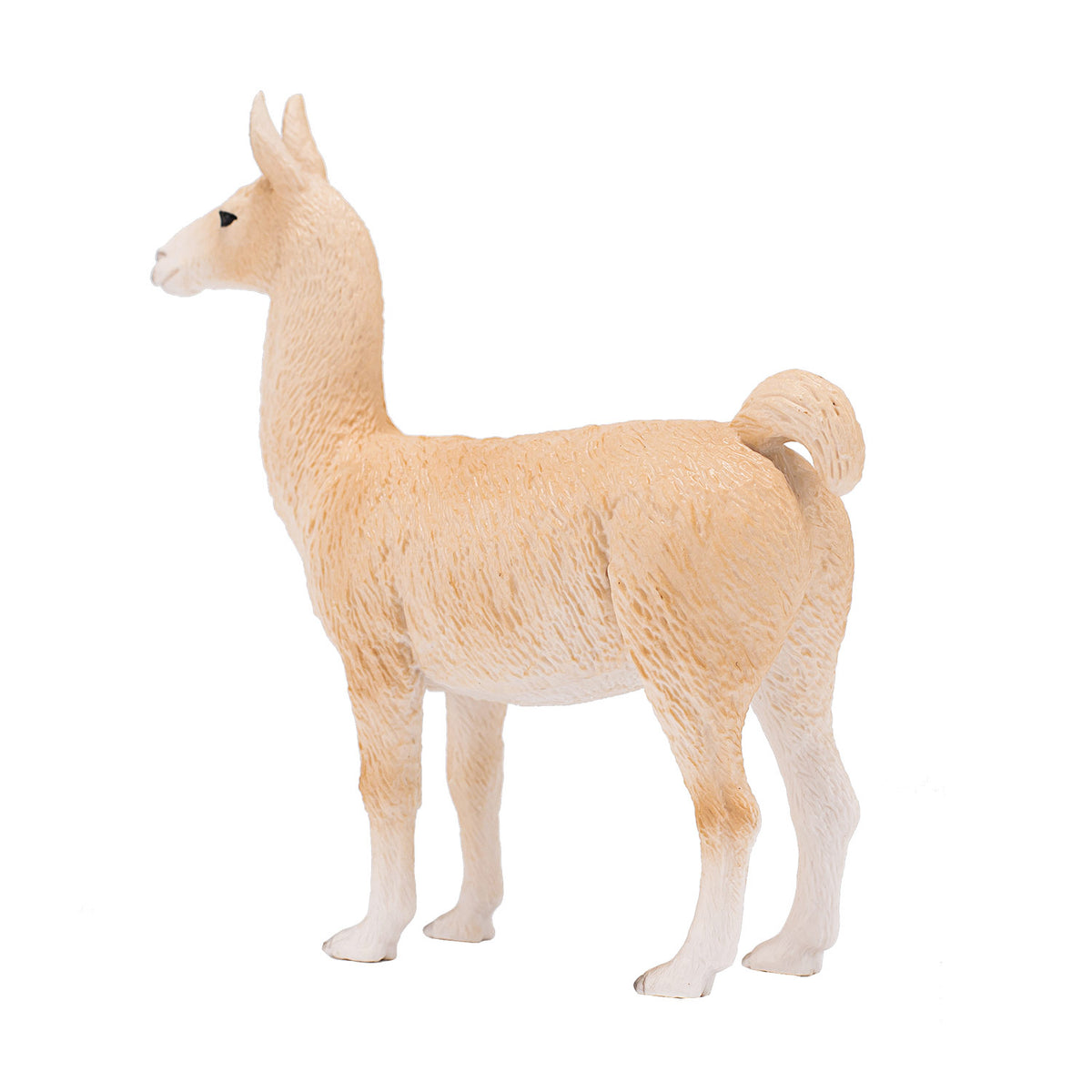 Lama della fauna selvatica Mojo - 387391