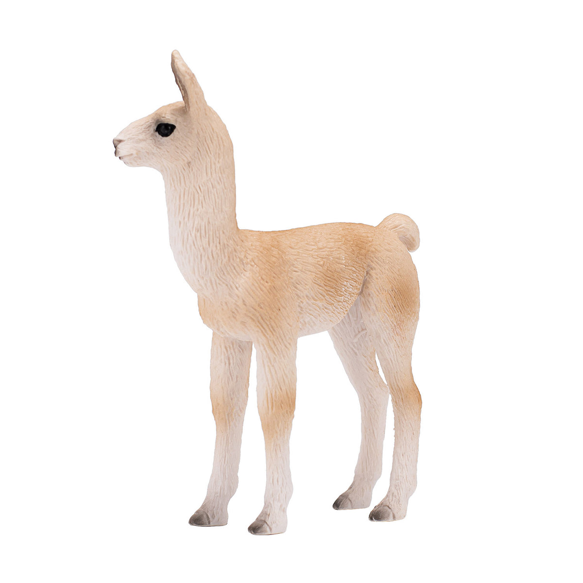 Cucciolo di lama della fauna selvatica Mojo - 387392