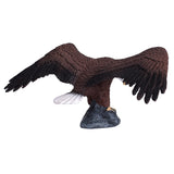 Aquila calva della fauna selvatica Mojo - 387027