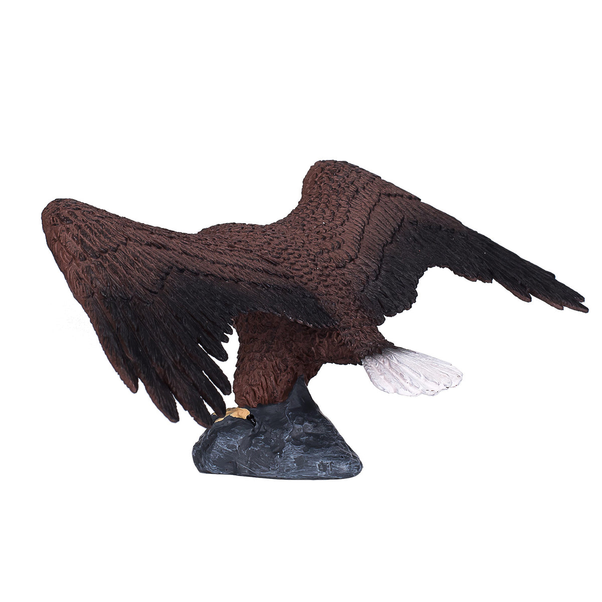 Aquila calva della fauna selvatica Mojo - 387027