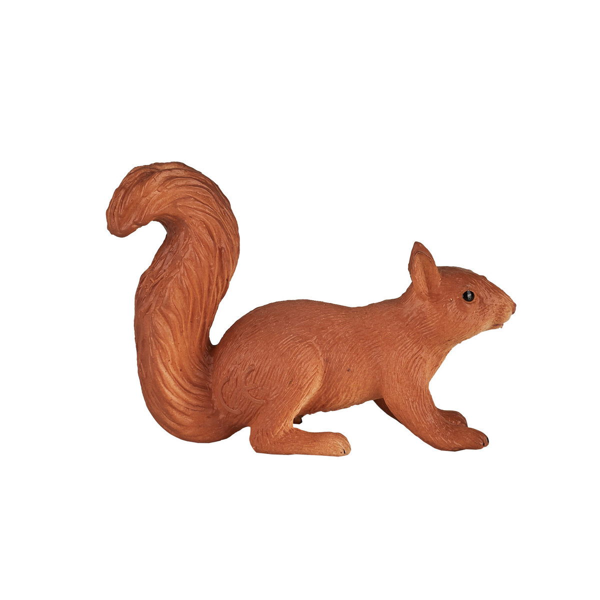Scoiattolo che corre Mojo Wildlife - 387032