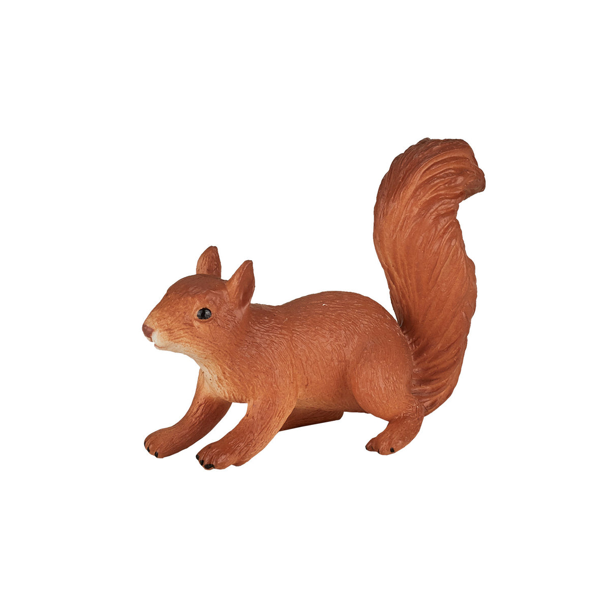 Scoiattolo che corre Mojo Wildlife - 387032