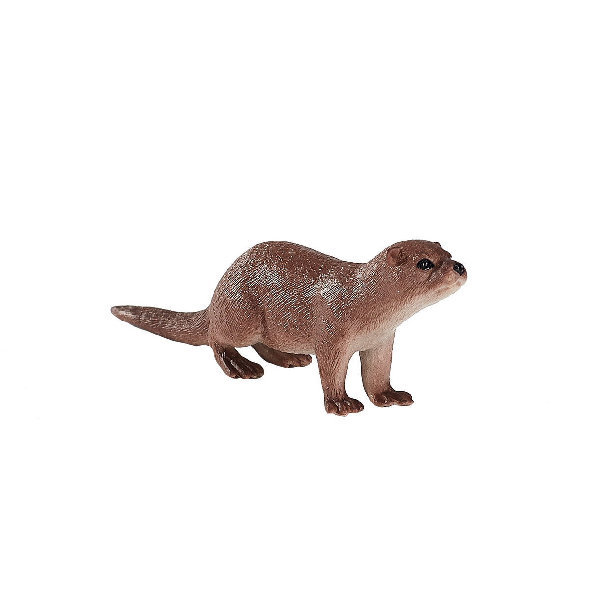 Lontra selvatica Mojo - 387128