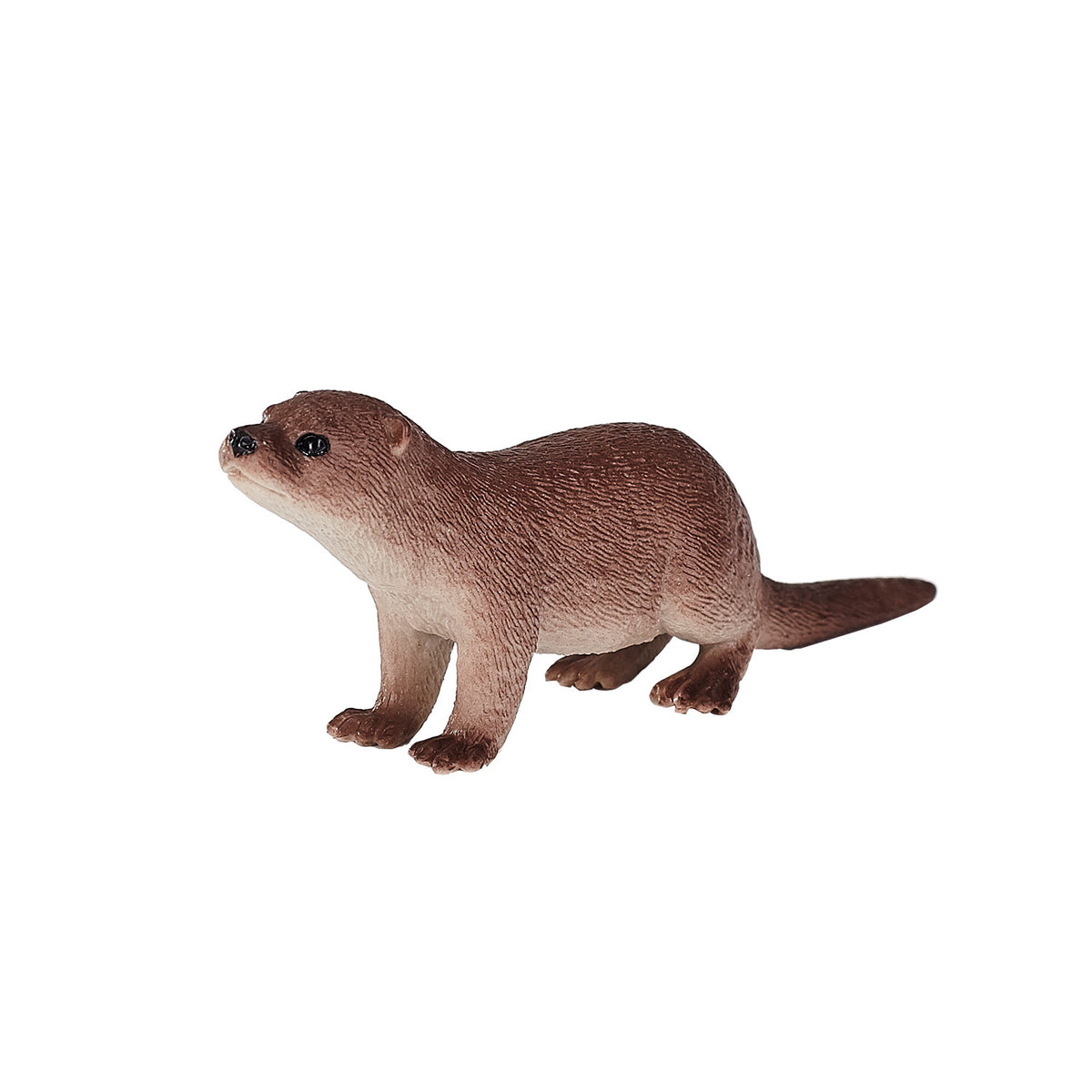 Lontra selvatica Mojo - 387128