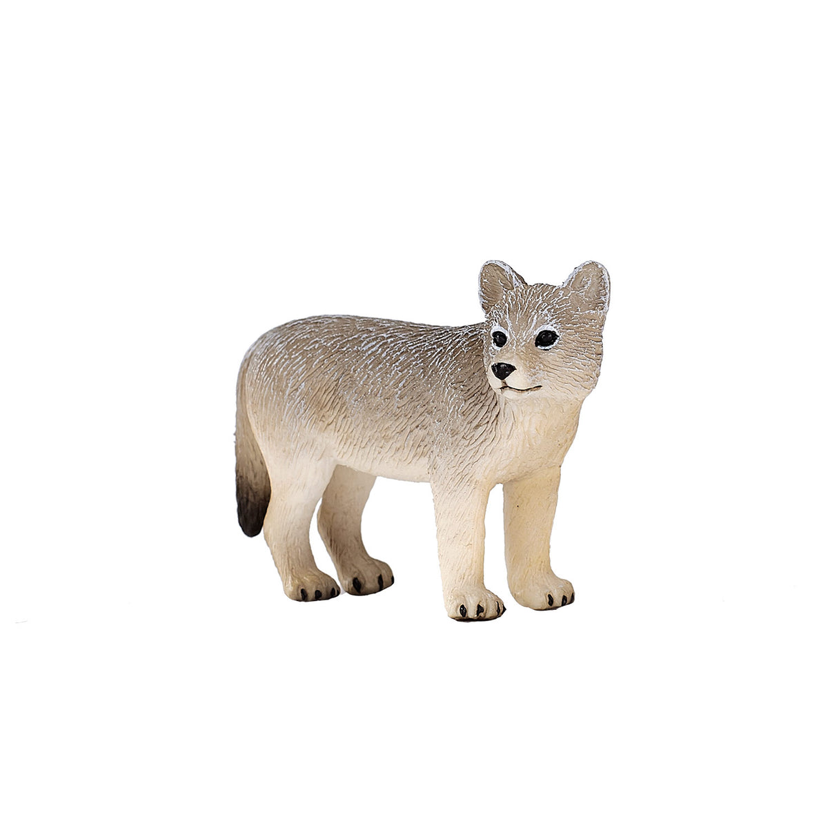 Cucciolo di lupo della fauna selvatica Mojo - 387244