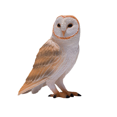Barbagianni della fauna selvatica Mojo - 381054