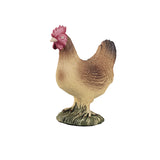 Pollo in piedi nei terreni agricoli Mojo - 387052