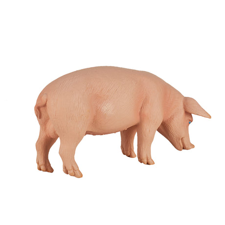 Cinghiale suino dei terreni agricoli Mojo - 387080