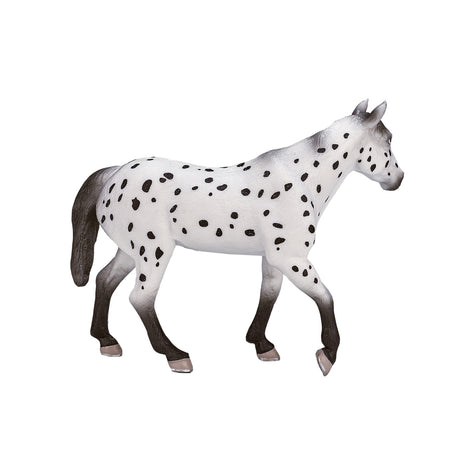 Stallone appaloosa del mondo dei cavalli Mojo - 387108
