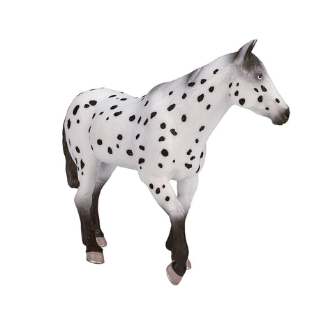 Stallone appaloosa del mondo dei cavalli Mojo - 387108