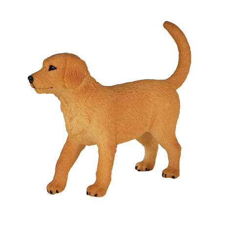Cucciolo di Golden Retriever Mojo Farmland - 387205