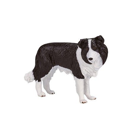 Border collie dei terreni agricoli Mojo - 387203