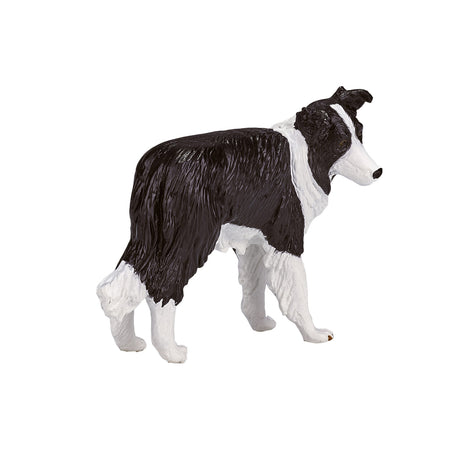 Border collie dei terreni agricoli Mojo - 387203
