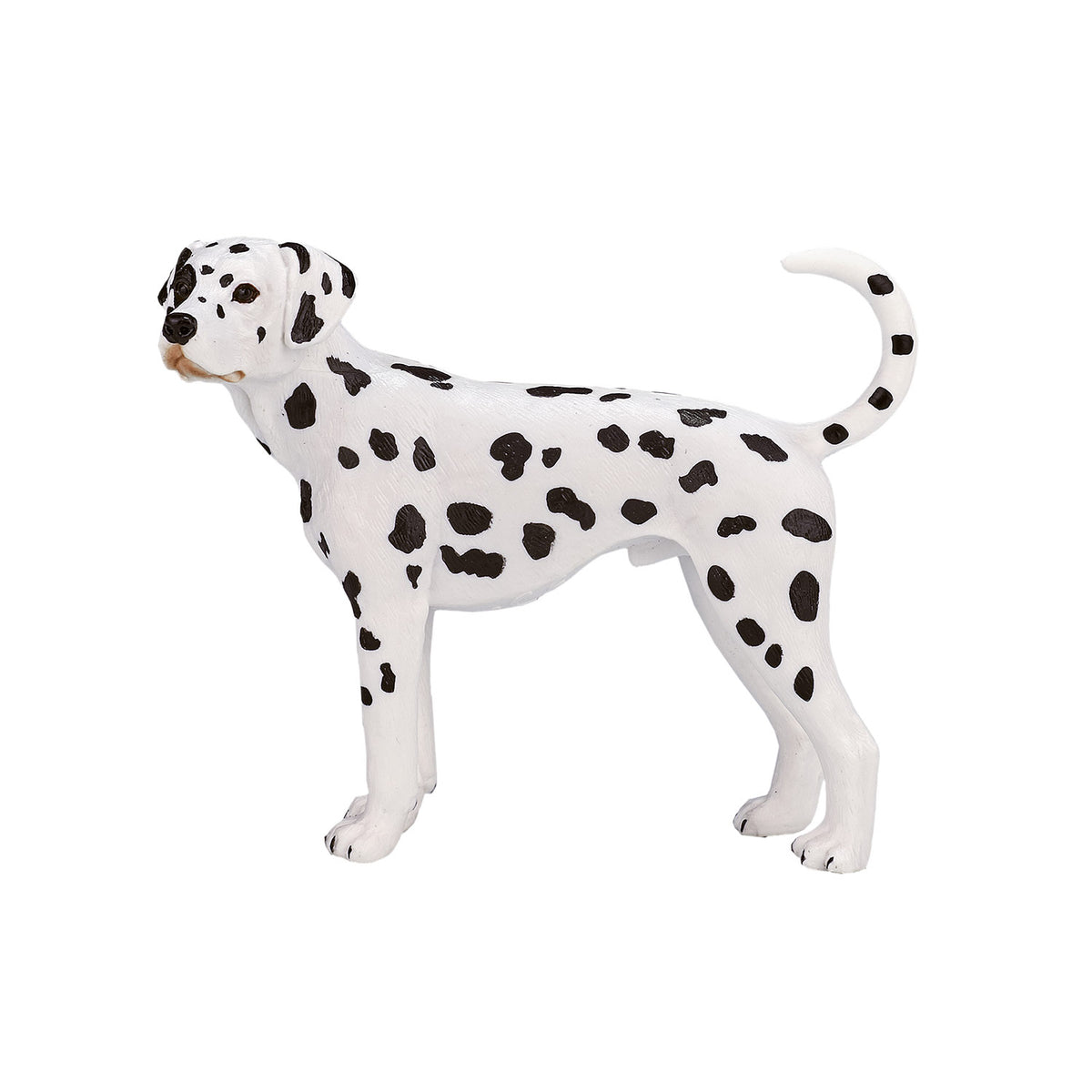 Mojo terreno agricolo dalmata - 387248